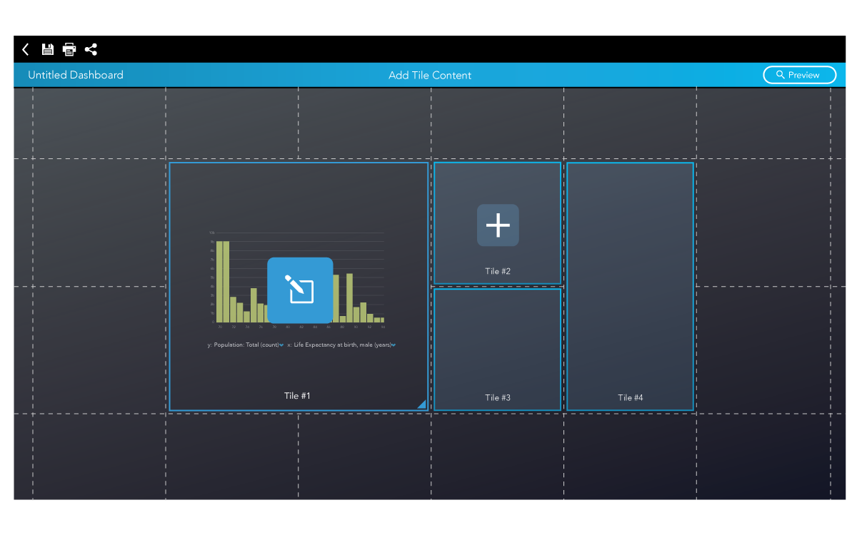 caseware 4